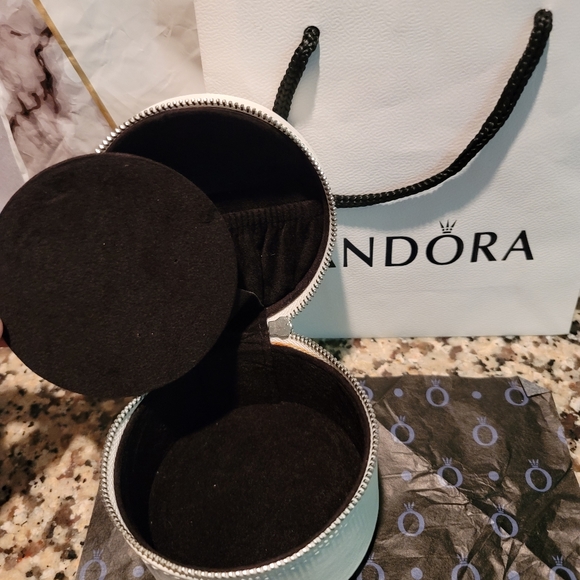 Pandora Bundle - Retired Charms, Wishbone Ring (9) & Limited Edition Case! - Picture 16 of 16